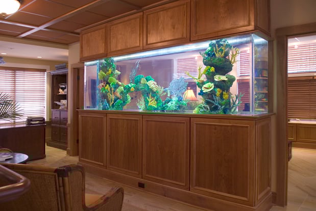 Images Phinney Design Group