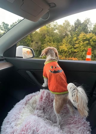 Images James Parker - State Farm Insurance Agent