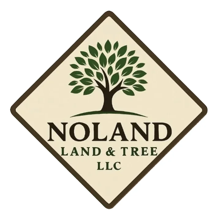 Noland Land & Tree