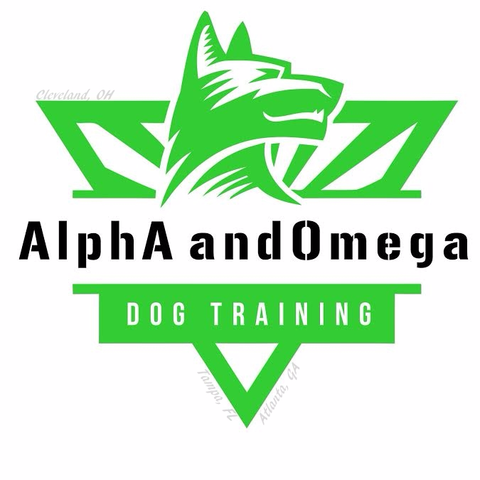 AlphA and Omega Dog Training in Wesley Chapel, FL 33545 ...