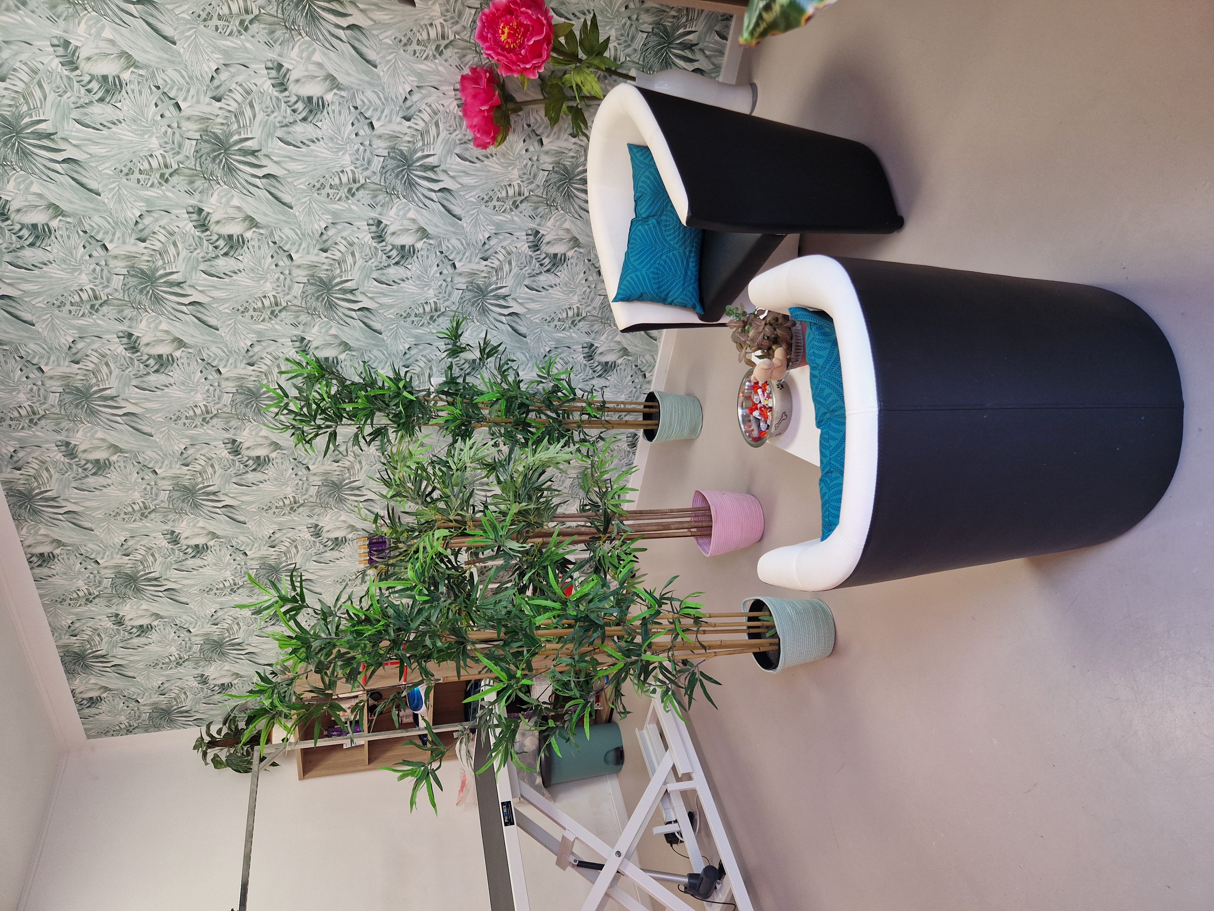 Bild 9 von Beauty-Dogs