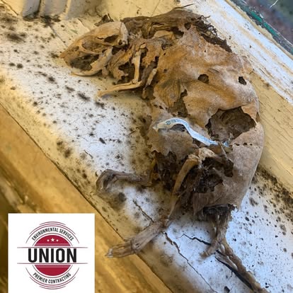 Images Union Environmental and Contracting Services