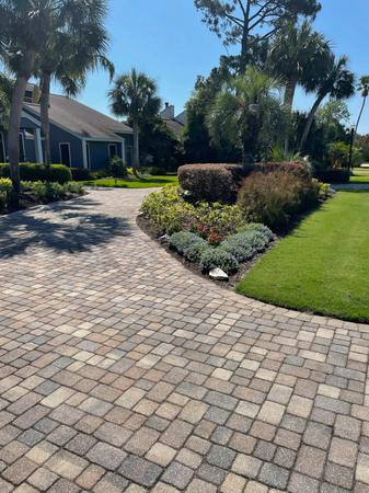 Images Pro Care Lawn and Pest