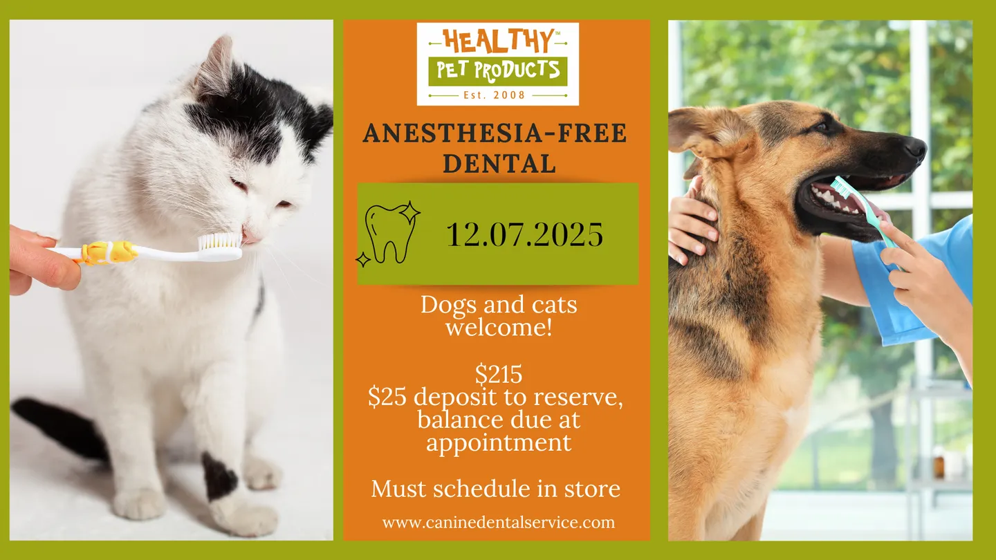 Image of Local Pet Event Anesthesia-Free Dental Clinic Nearby