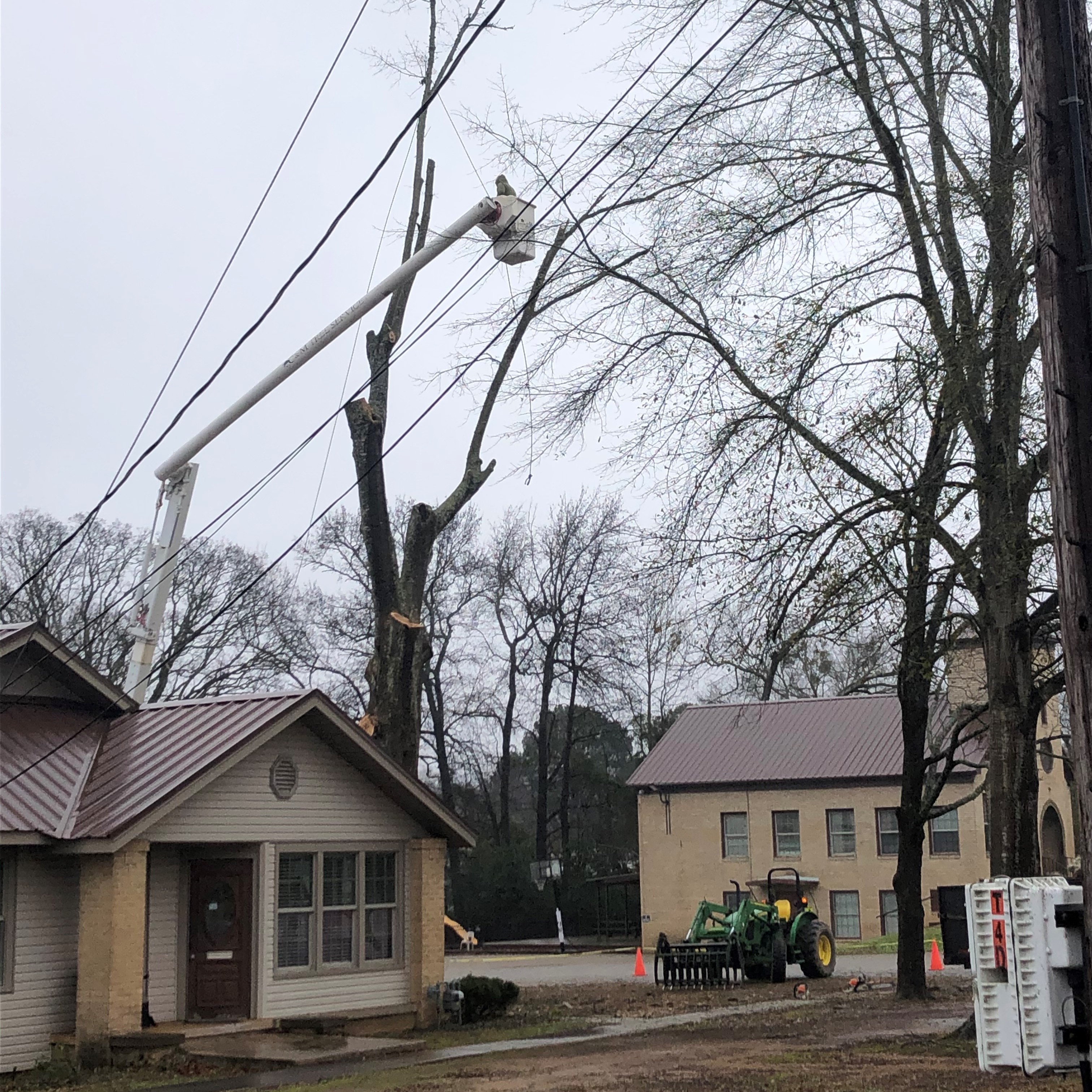 C&M Tree Service