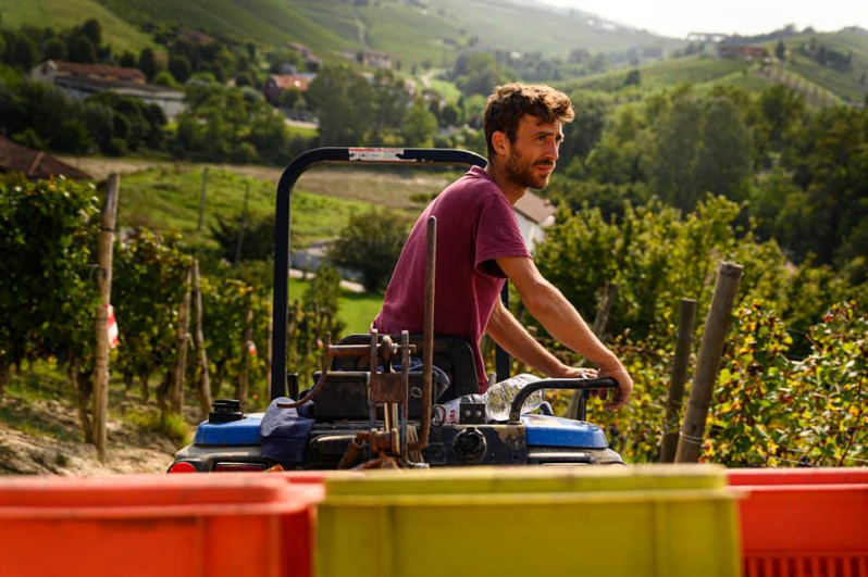 Images Agricola Molino