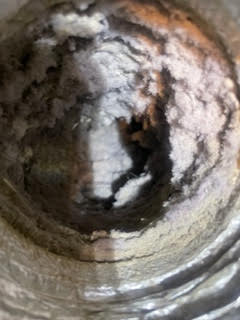 Images Pollard's Dryer Vent Cleaning Service
