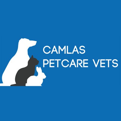 Camlas Petcare Vets - Welshpool Logo