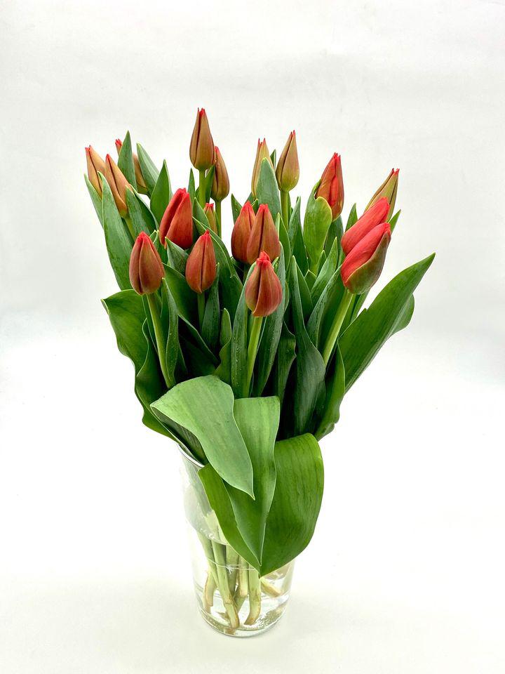 Blumen Peter & Gerti Schuster, Hervicusgasse 25 in Wien