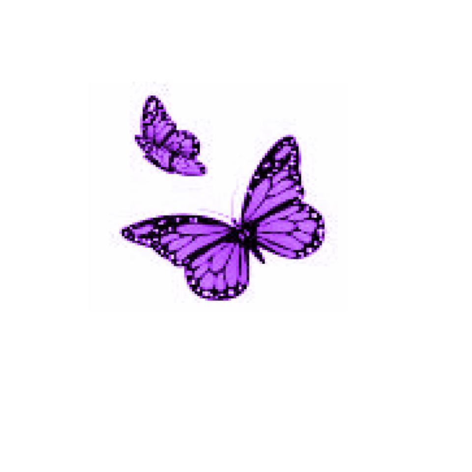 Butterfly Days Ltd Support at Home Logo