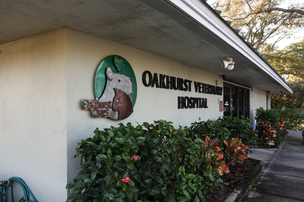 Images Oakhurst Veterinary Hospital