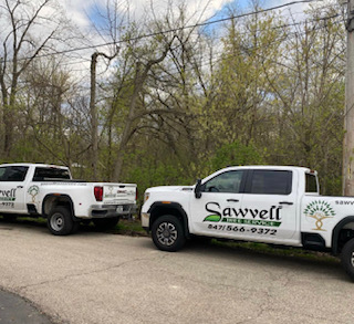 Images Sawvell Tree Service