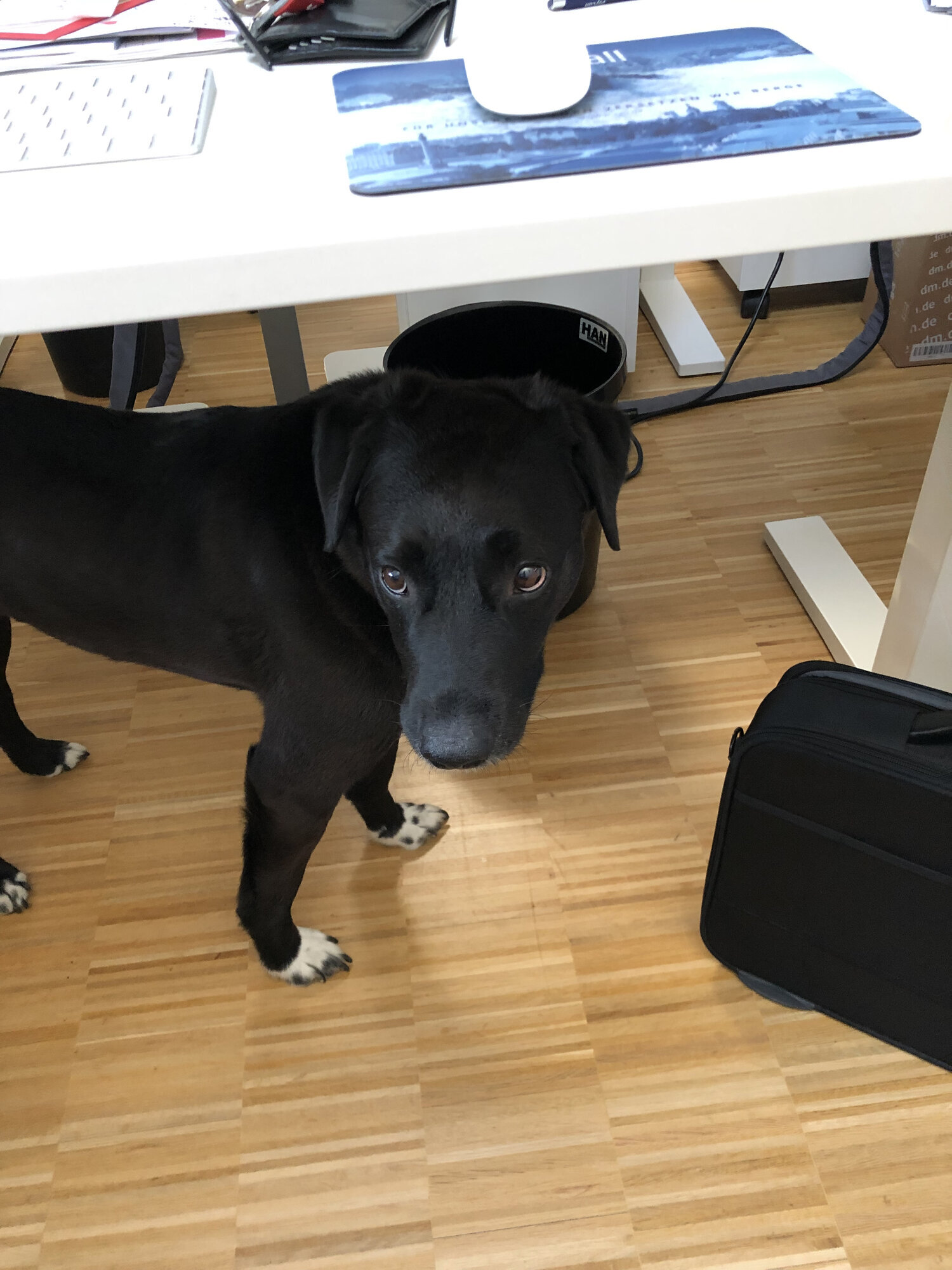 Bilder P-Call GmbH & Co. KG