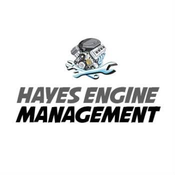 Hayes Engine Management LLC