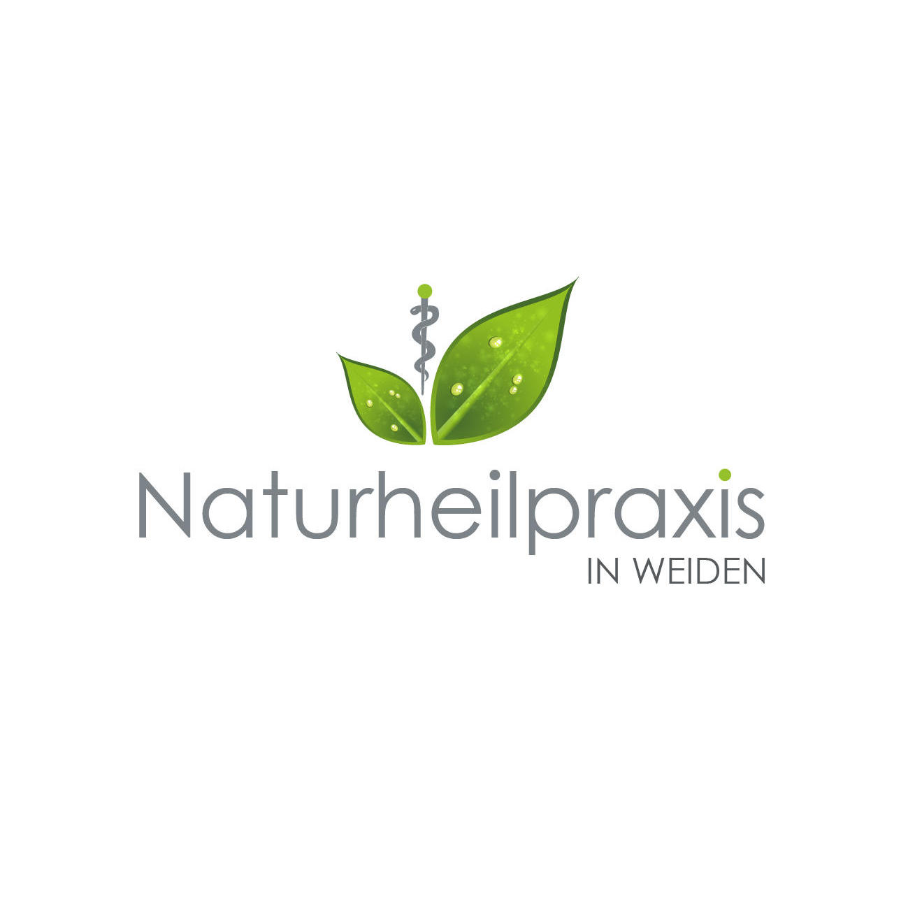 Logo Naturheilpraxis in Weiden