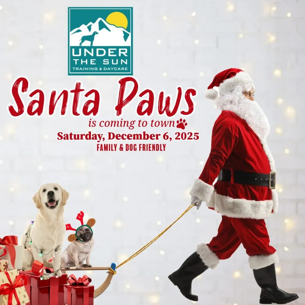 Image of Local Pet Event UTS Santa Paws Event Nearby