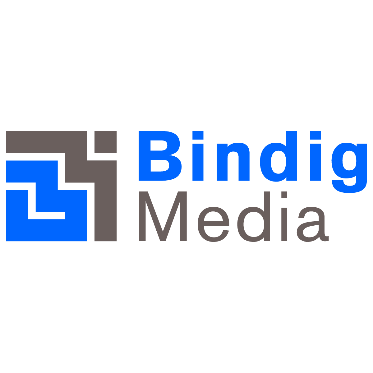 Bild zu Bindig Media GmbH in Leipzig