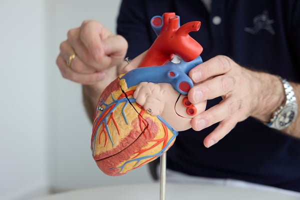 Kardiologie