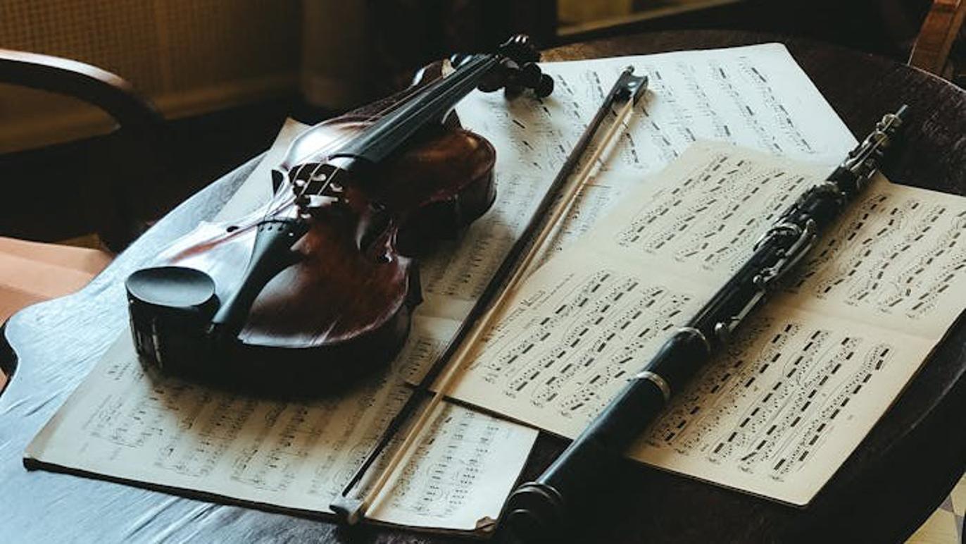 Images Violinbygger Sonja Martin