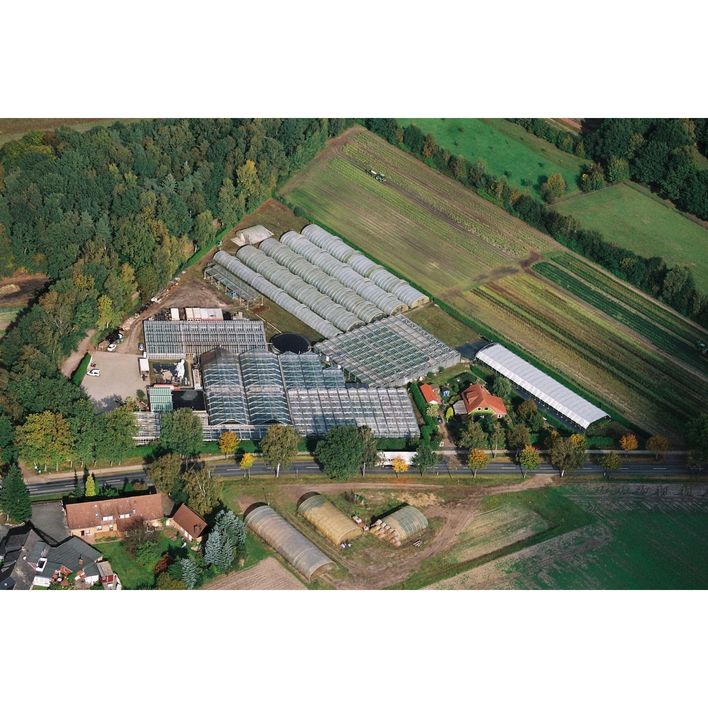 Gärtnerei Reinike GbR in Isernhagen