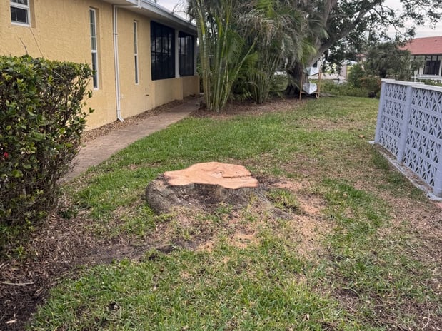 Images Art's Tree Service