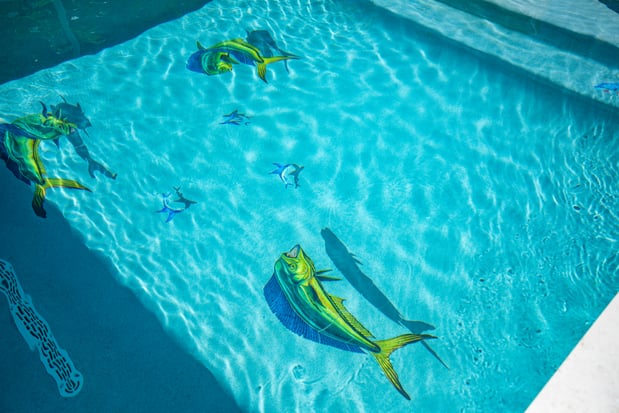 Images Crystal Clear Pools