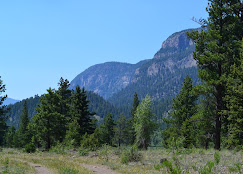 Mogote Meadow Cabins & RV Park Image