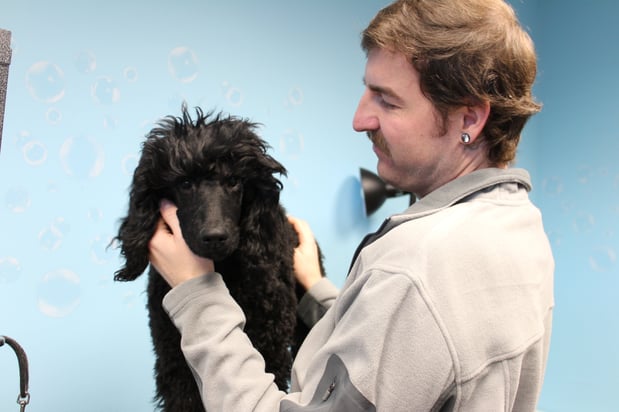 Images CityVet | Frisco