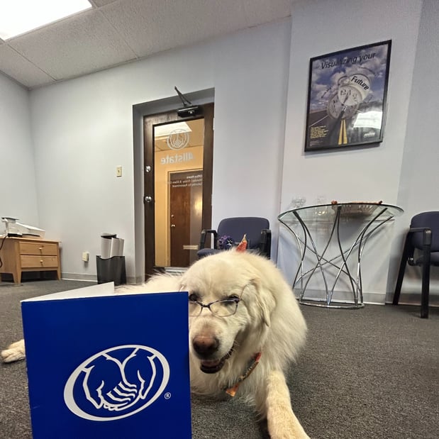 Images ANDREW MCCAULEY: Allstate Insurance