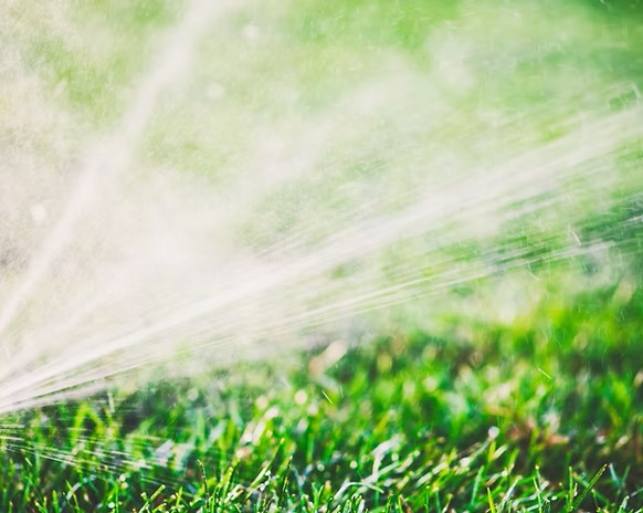 Topp Turf offers professional sprinkler installation services to keep your lawn and landscape properly watered year-round. Designed for convenience and efficiency, our systems help maintain a healthy, green outdoor space with ease. We’re committed to providing reliable solutions tailored to your property’s needs.