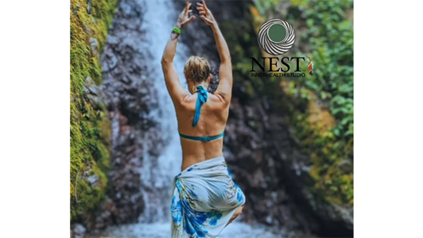 Images NEST - Innerhealth Studio