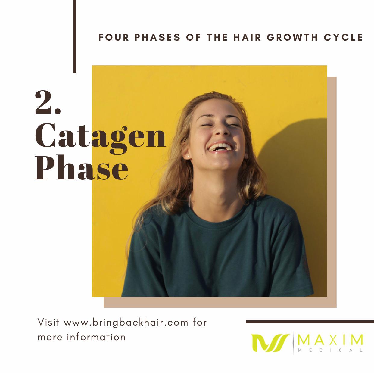 2. Catagen Phase
The Catagen phase refers to the period of time in which the hair detaches from the blood vessels and dermal papilla. During this stage, the hair stops growing as the blood flow is removed, depriving the follicle of much-needed oxygen and nutrients that would otherwise promote growth. This lasts for approximately two weeks and acts as a catalyst for the next stage, the Telogen phase.