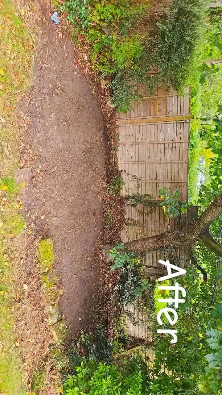 Images PG Garden Maintenance