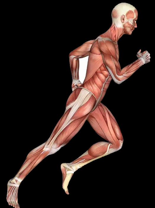 Images QC Kinetix (Ocala)