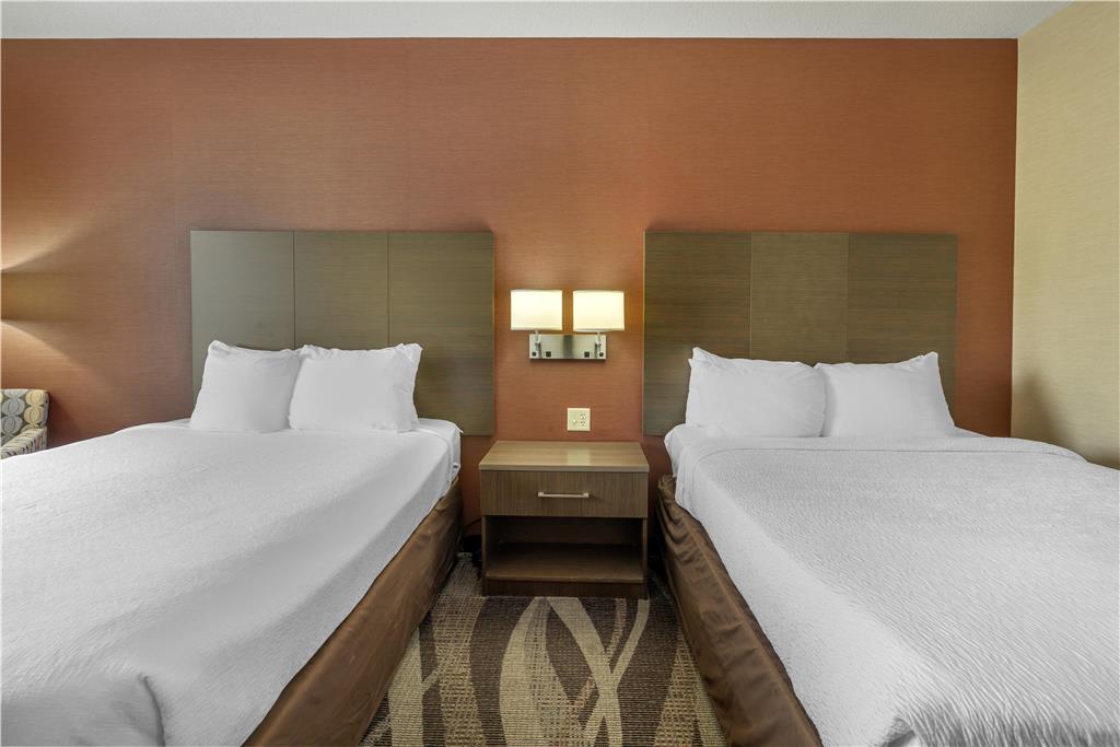 2 Queen Bed Room