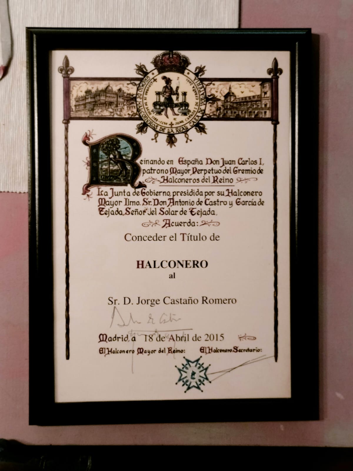 Images Bird Control Falcon S.L.