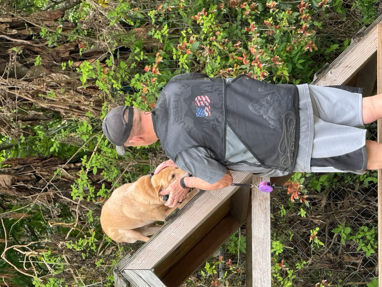 Russell's K9 Academy Image