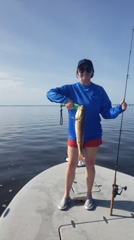 Images E-6 INSHORE FISHING ADVENTURES, LLC