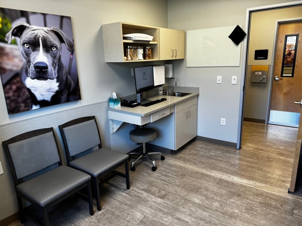 Images VCA Cottonwood Animal Hospital