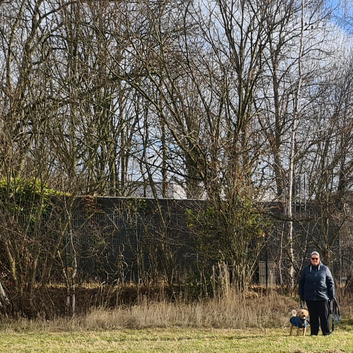 Hundetraining Zum Dream-Team in Castrop-Rauxel
