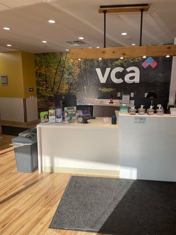 Images VCA Bellevue Veterinary Hospital