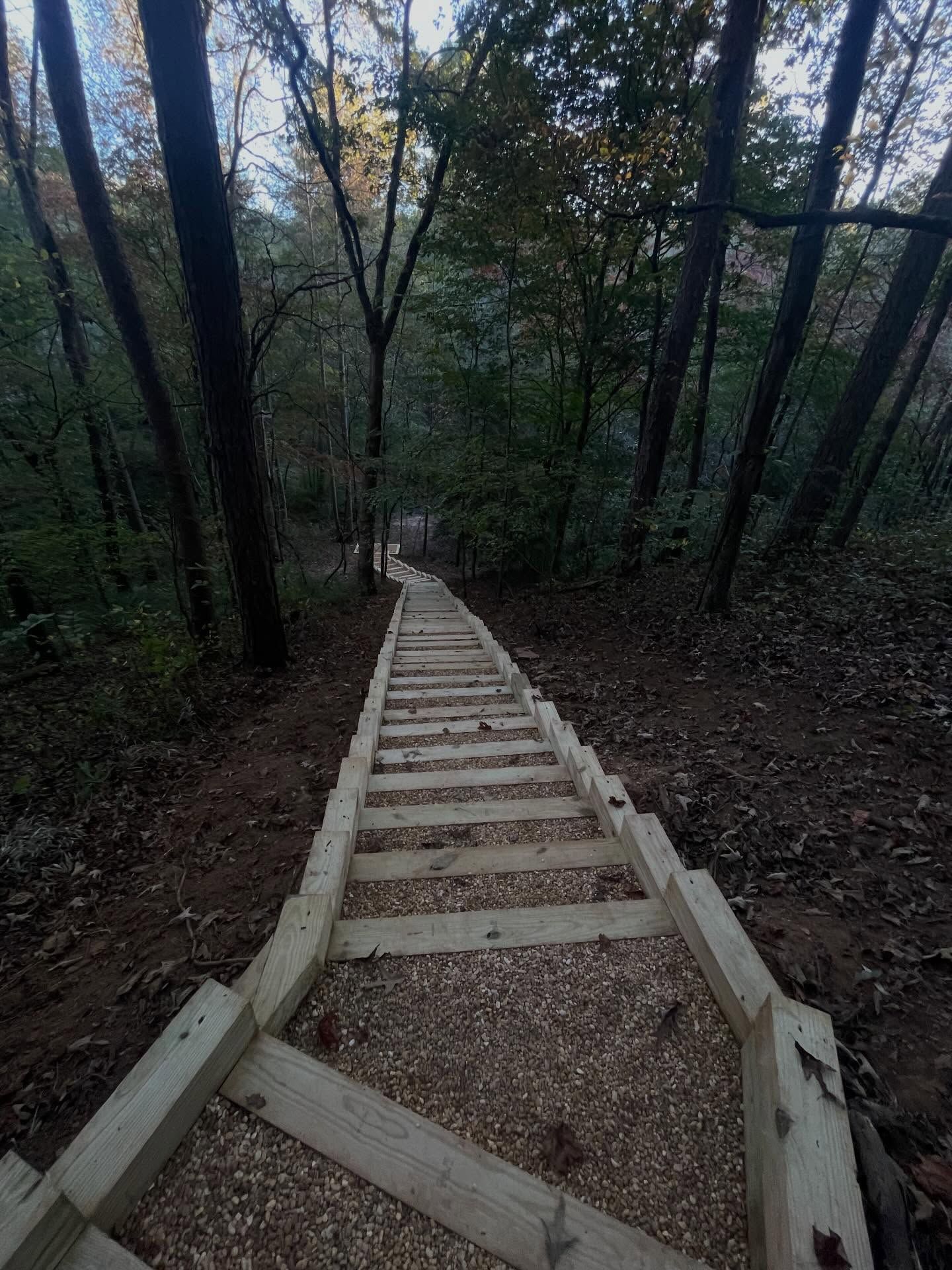 Elite Envisions Landscaping Image