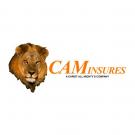 CAMInsures Logo