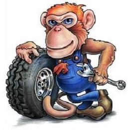 Tire Monkey