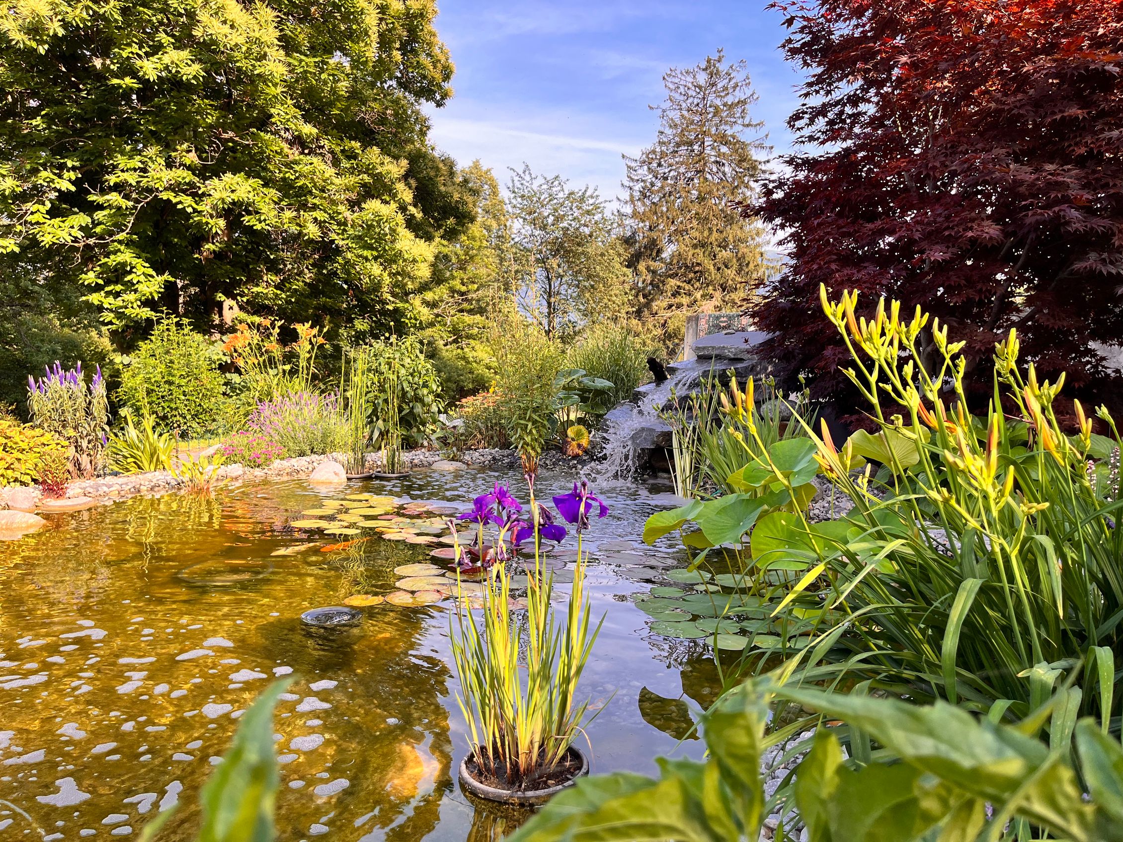 Bilder AQVA Irrigation & Outdoor Lighting Solutions