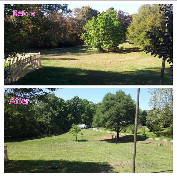 Images Bailey Tree Care