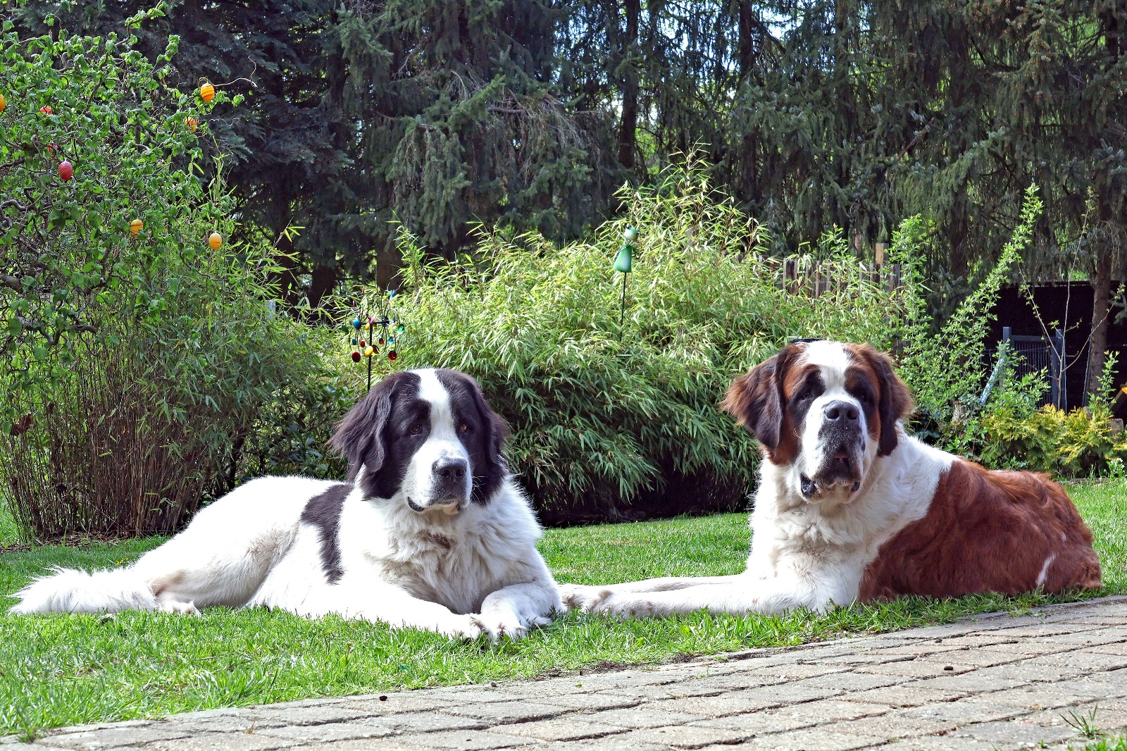 Bilder AUSZEIT An der Aller