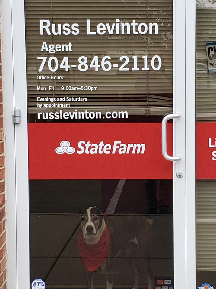 Russ Levinton - State Farm Insurance Agent Photo