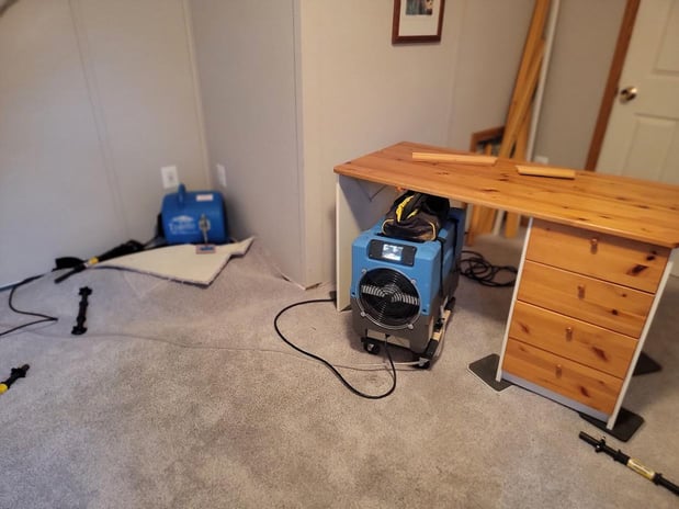 Images My Carpet Cleaning & Restoration Service