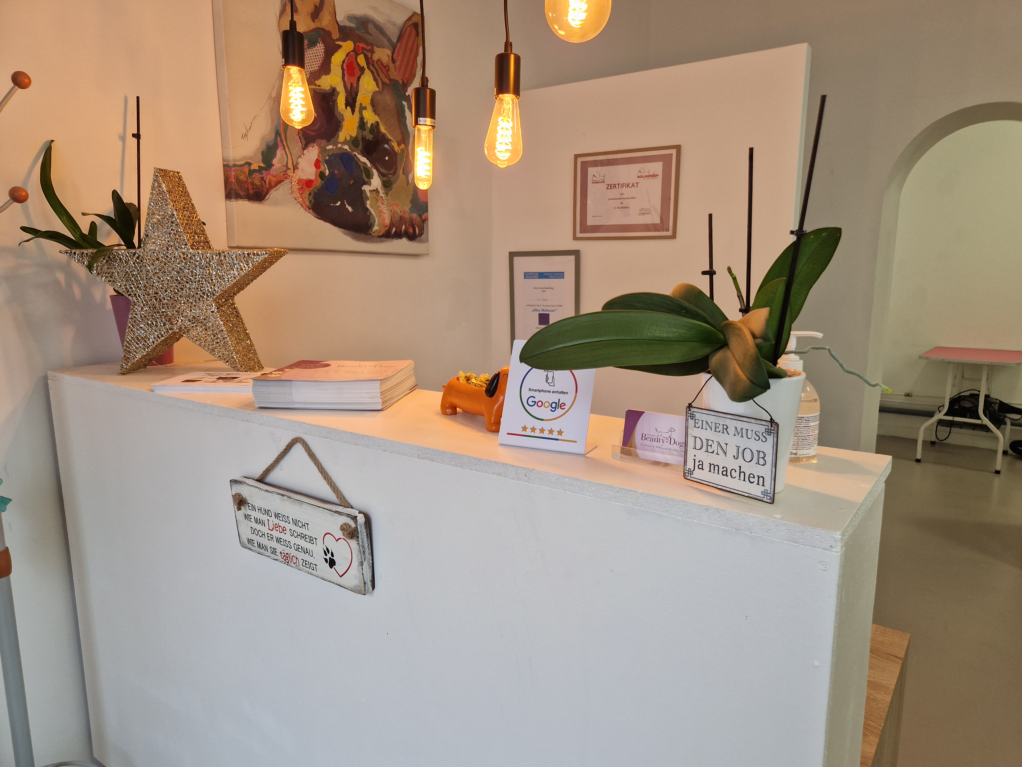 Bild 10 von Beauty-Dogs